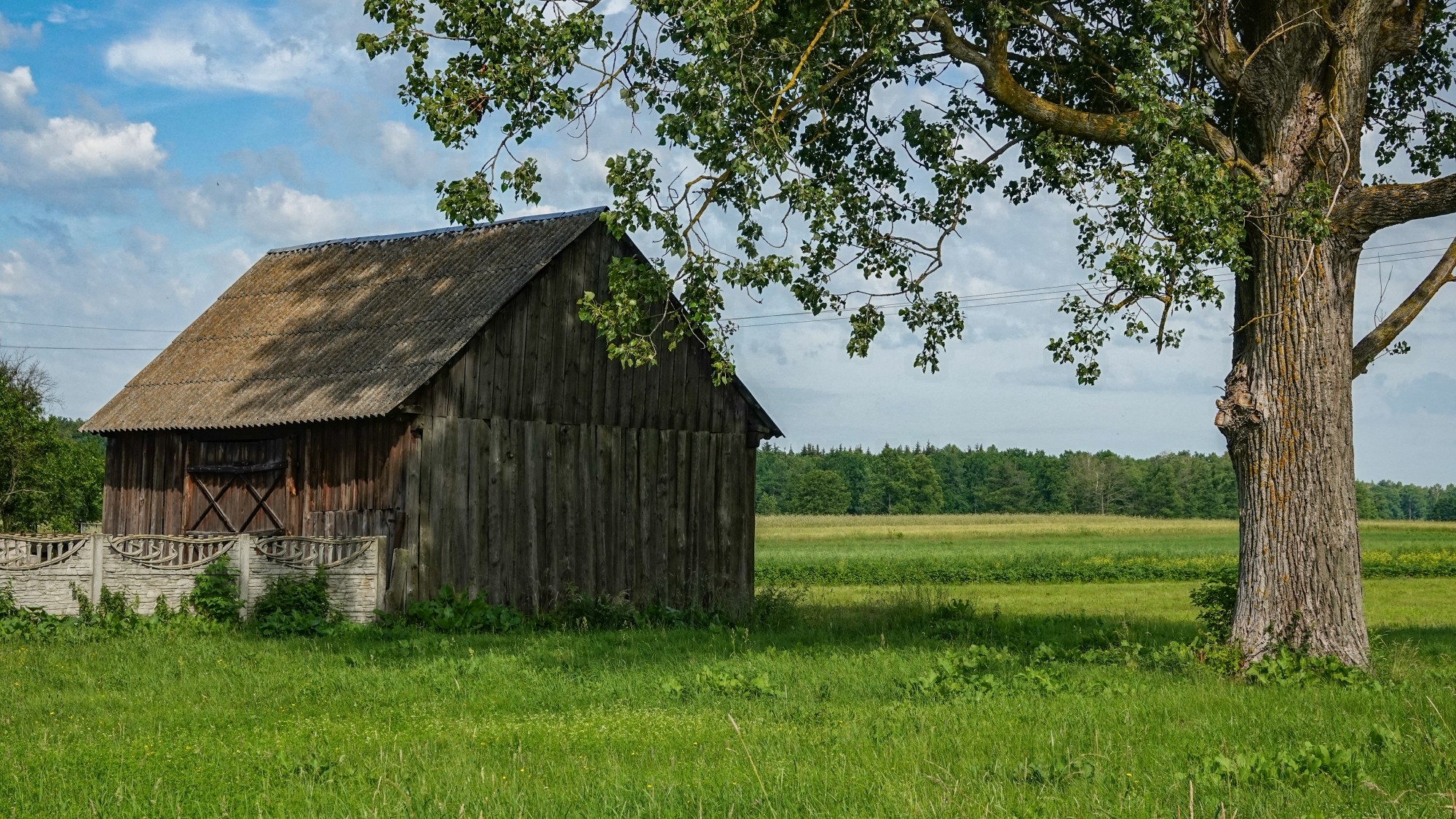 Letnie klimaty na łonie natury - zdjęcie 14