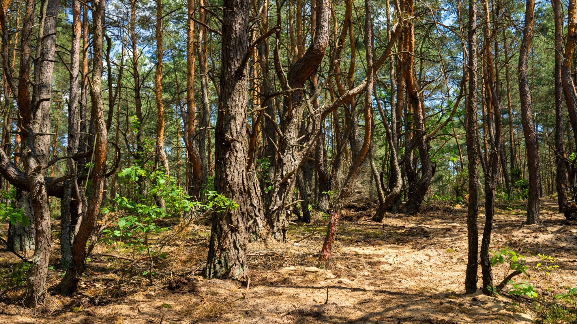 Lato na prowincji - zdjęcie 39