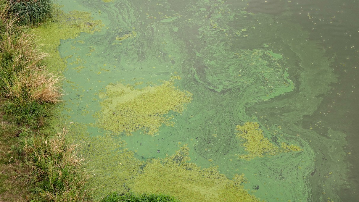 Uroki końca lata - zdjęcie 43