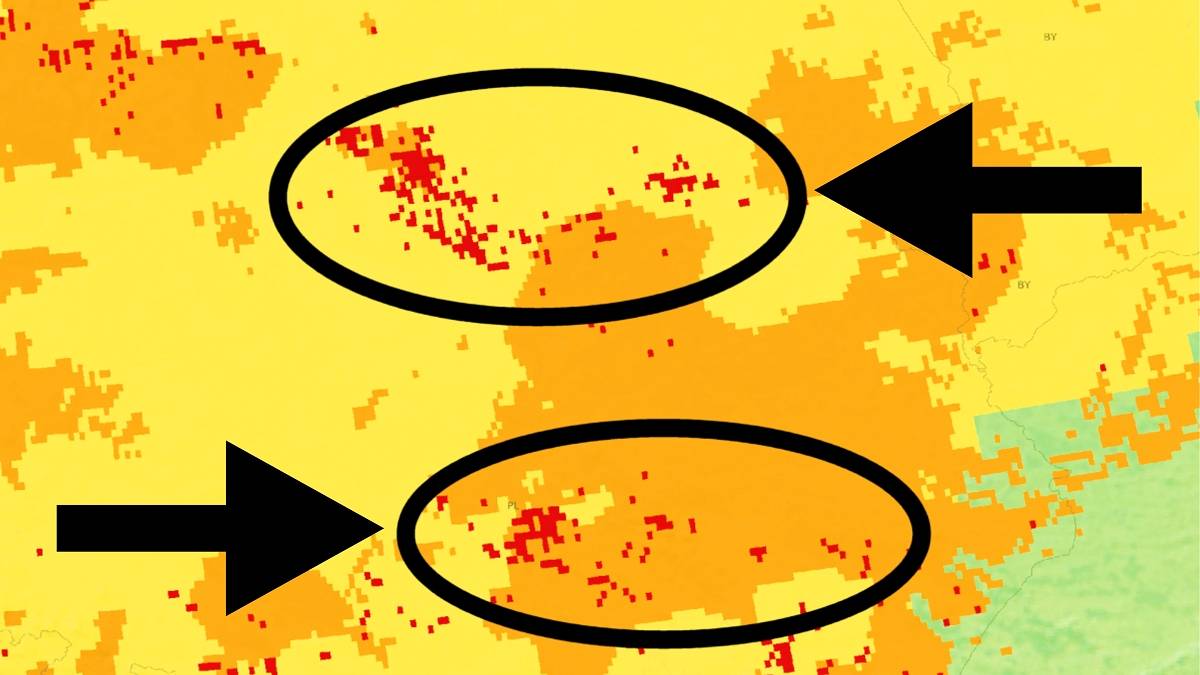 Susza daje się we znaki. Fot. EDO.