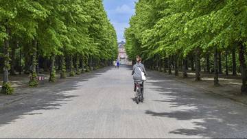 Nawet 4500 zł dla rowerzystów. Rząd dopłaci do roweru