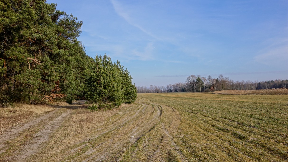 Marzec w obiektywie - zdjęcie 42