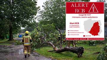 Potężne burze przejdą nad Polską. Pilny alert RCB