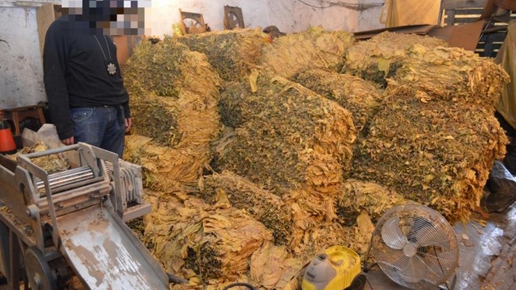 Policja przejęła 1,5 tony nielegalnego tytoniu