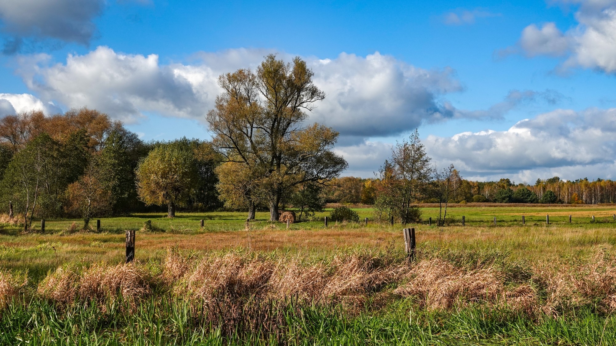 Wszystkie barwy jesieni - zdjęcie 22